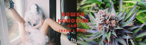 прущие грибы Арсеньев
