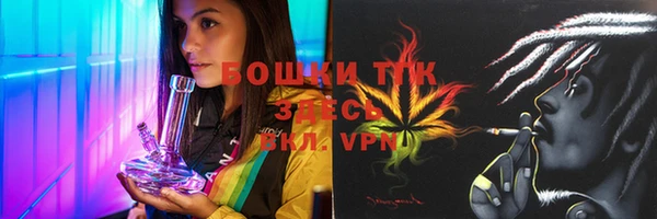 Альфа ПВП Осинники