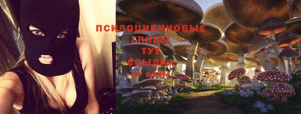 винт Баксан