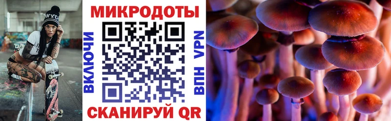 цена наркотик  Мураши  Псилоцибиновые грибы Psilocybine cubensis 